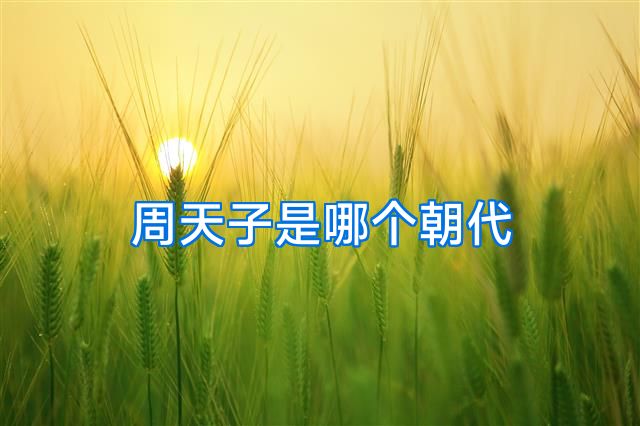 周天子是哪个朝代