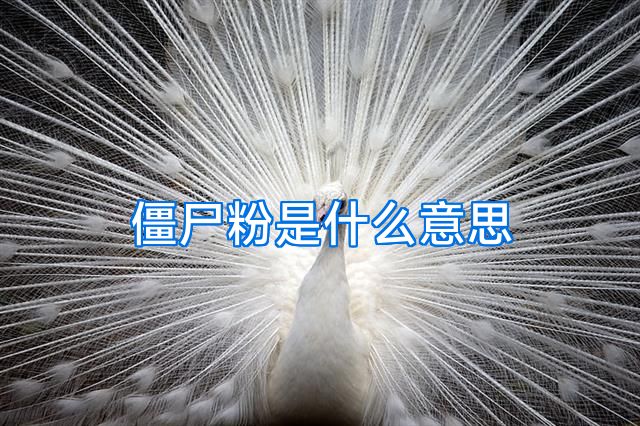 僵尸粉是什么意思