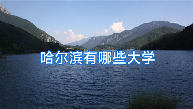 哈尔滨有哪些大学