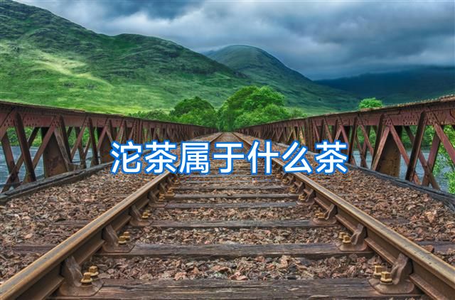 沱茶属于什么茶