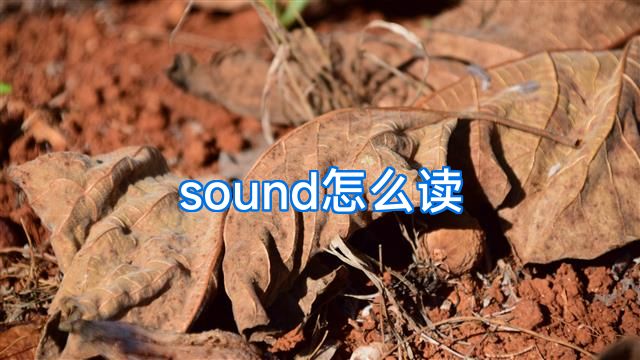 sound怎么读
