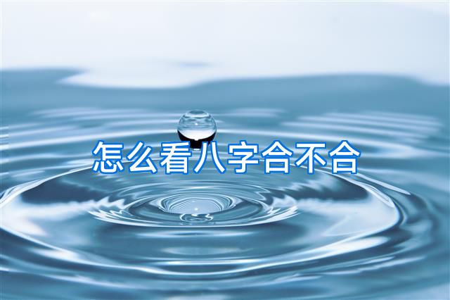 怎么看八字合不合