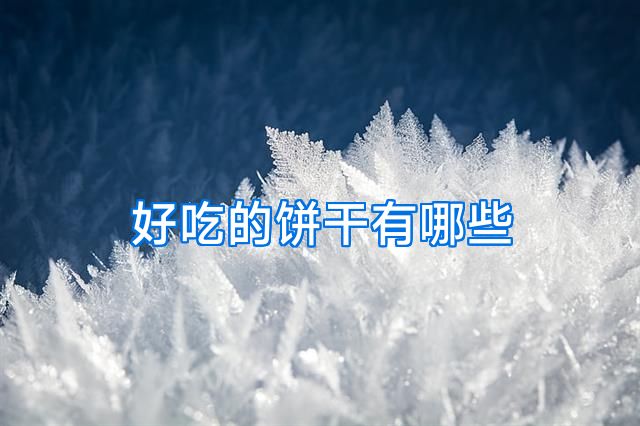 好吃的饼干有哪些