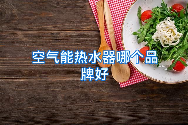 空气能热水器哪个品牌好