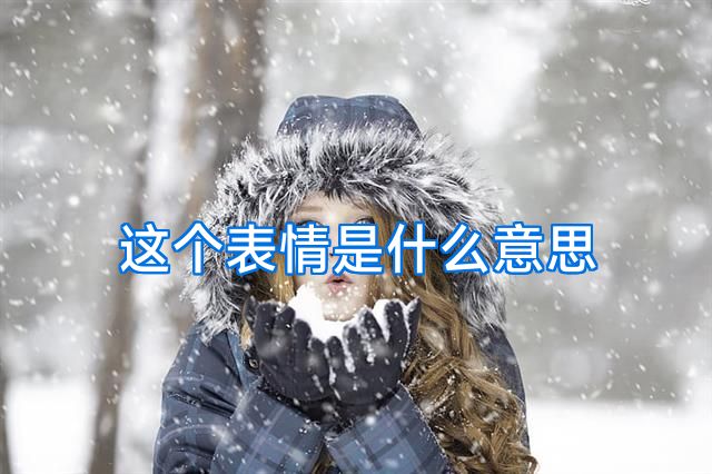 这个表情是什么意思