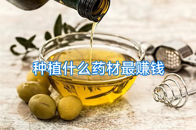 种植什么药材最赚钱