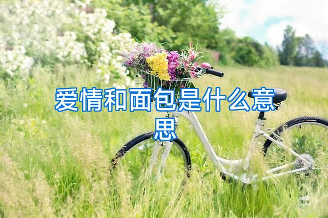 爱情和面包是什么意思