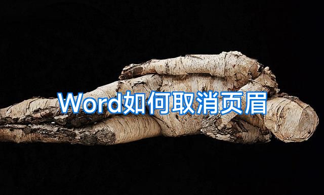 Word如何取消页眉