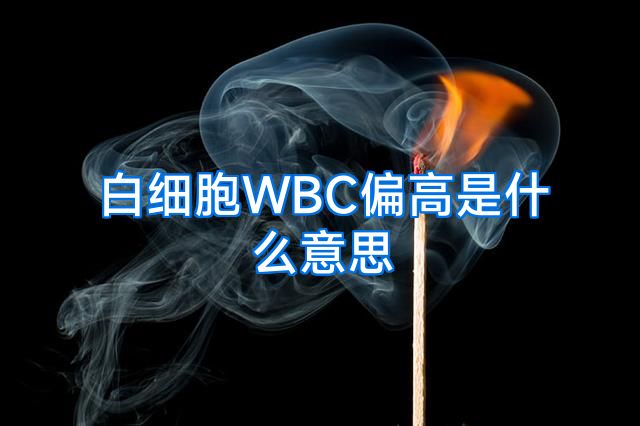 白细胞WBC偏高是什么意思