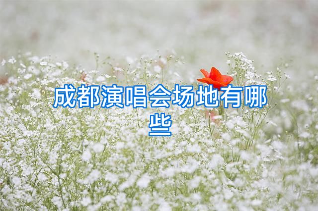 成都演唱会场地有哪些