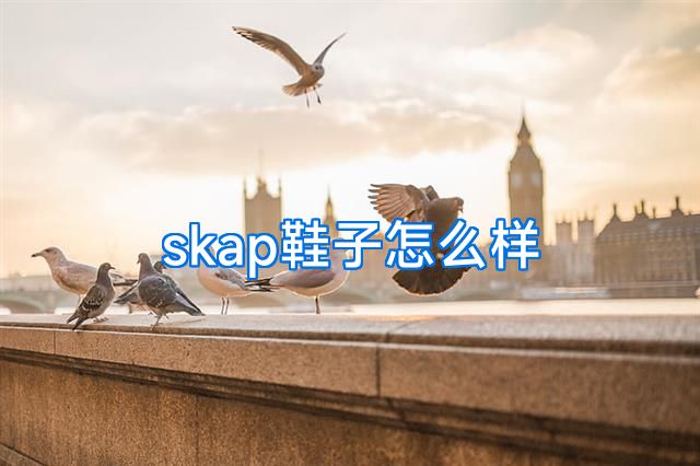skap鞋子怎么样