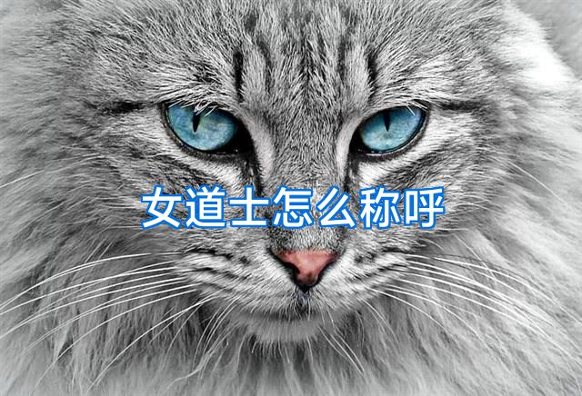 女道士怎么称呼
