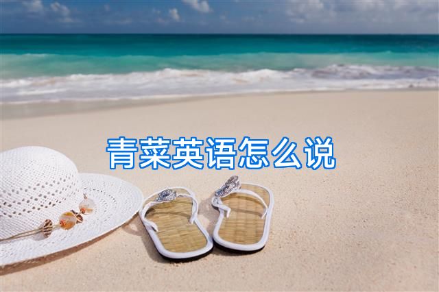 青菜英语怎么说
