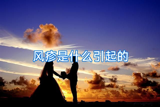 风疹是什么引起的
