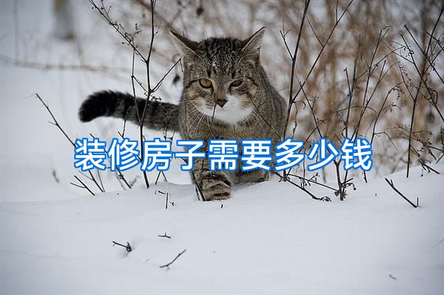 装修房子需要多少钱