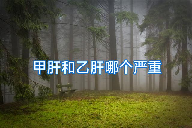 甲肝和乙肝哪个严重