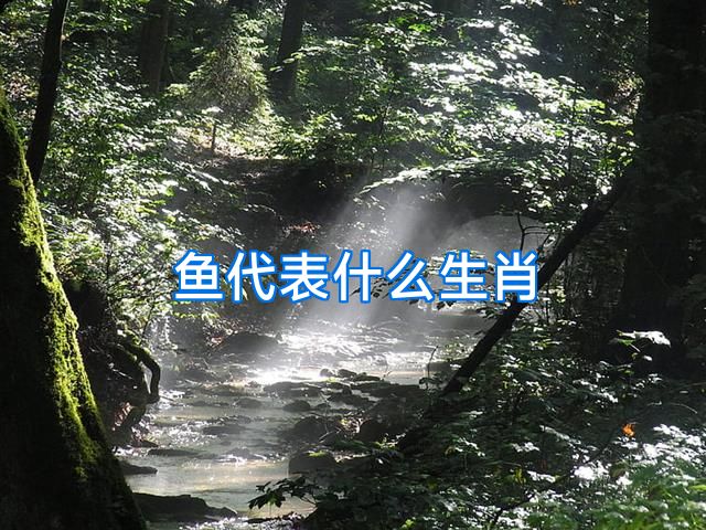 鱼代表什么生肖