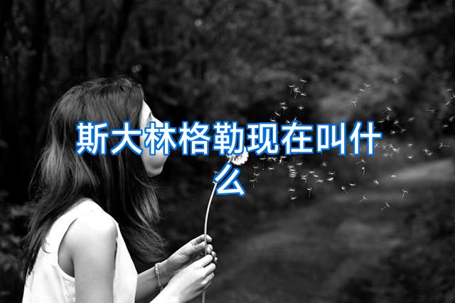 斯大林格勒现在叫什么