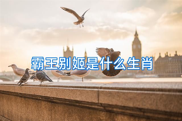 霸王别姬是什么生肖