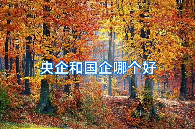 央企和国企哪个好