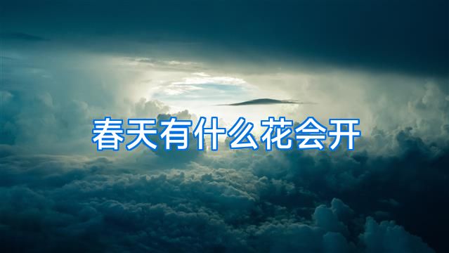 春天有什么花会开