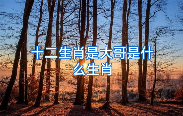 十二生肖是大哥是什么生肖