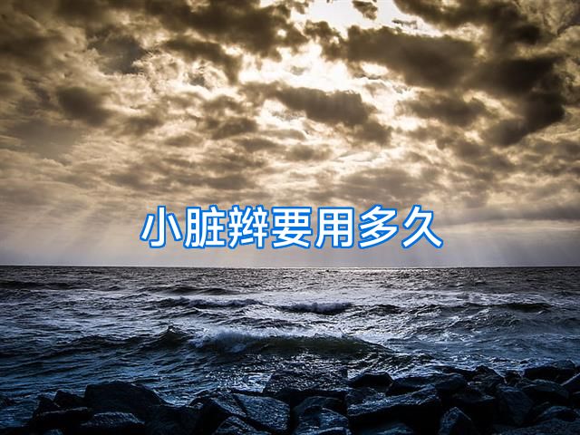 小脏辫要用多久