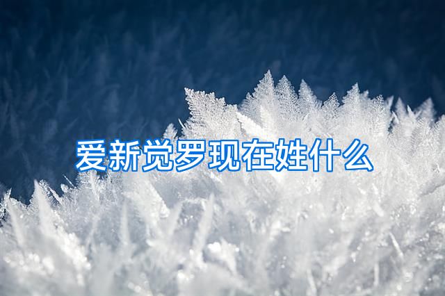 爱新觉罗现在姓什么