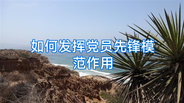 如何发挥党员先锋模范作用