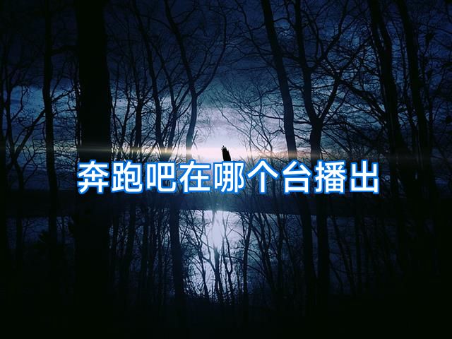 奔跑吧在哪个台播出