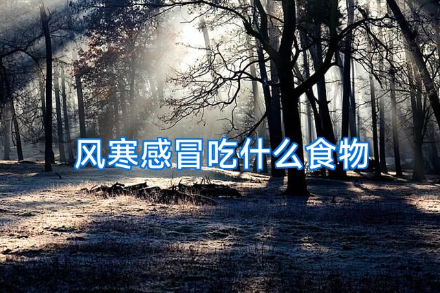 风寒感冒吃什么食物