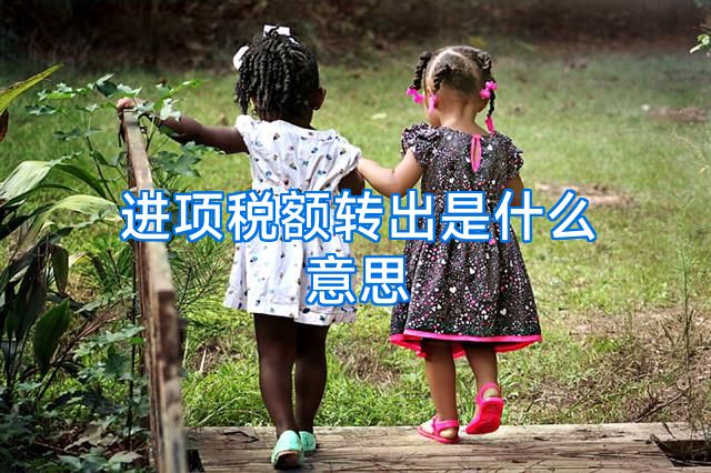 进项税额转出是什么意思