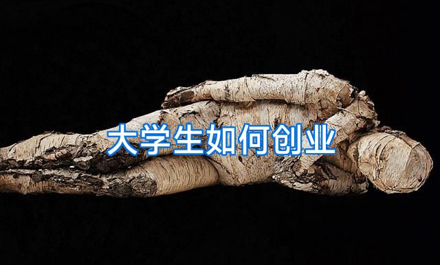 大学生如何创业