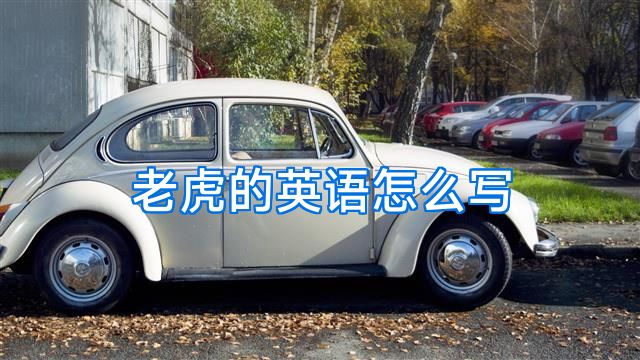 老虎的英语怎么写