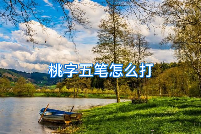 桃字五笔怎么打