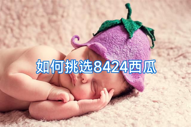 如何挑选8424西瓜