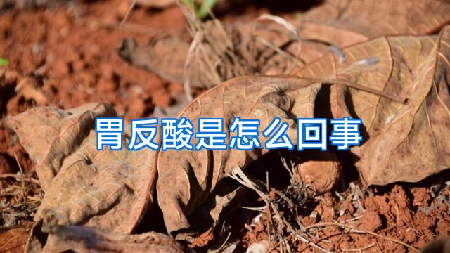 胃反酸是怎么回事