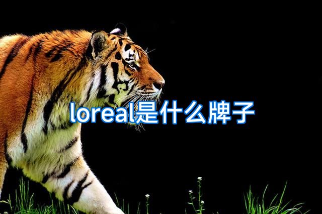 loreal是什么牌子
