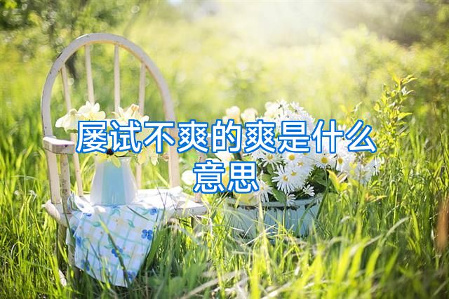 屡试不爽的爽是什么意思