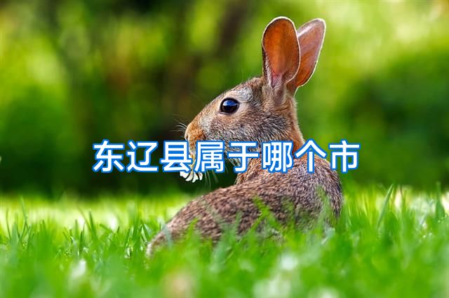 东辽县属于哪个市