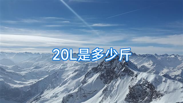 20L是多少斤