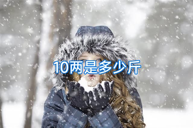 10两是多少斤