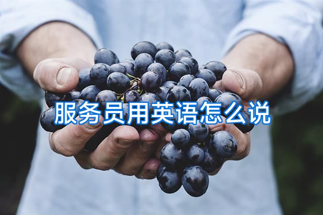 服务员用英语怎么说