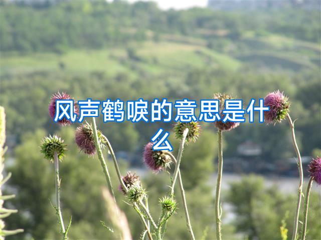 风声鹤唳的意思是什么
