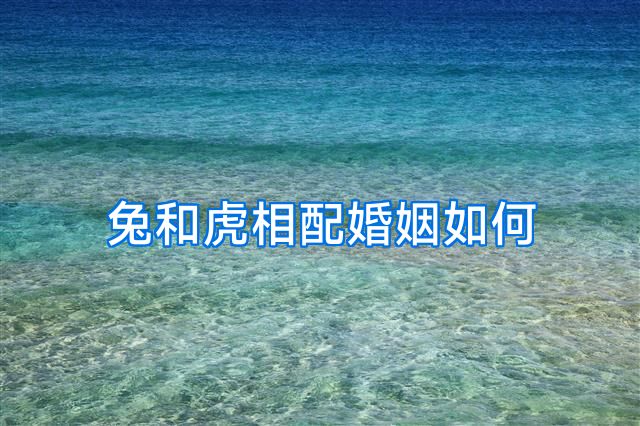 兔和虎相配婚姻如何