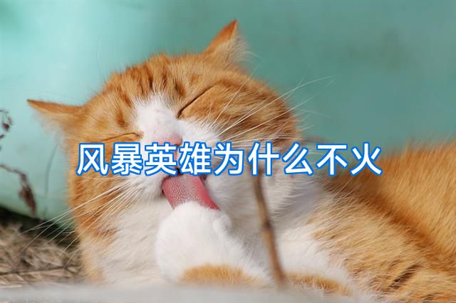 风暴英雄为什么不火