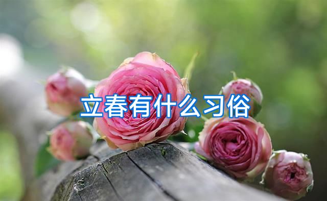 立春有什么习俗