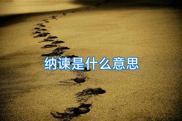 纳谏是什么意思
