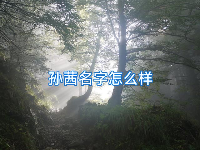 孙茜名字怎么样