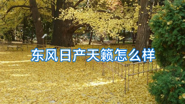 东风日产天籁怎么样